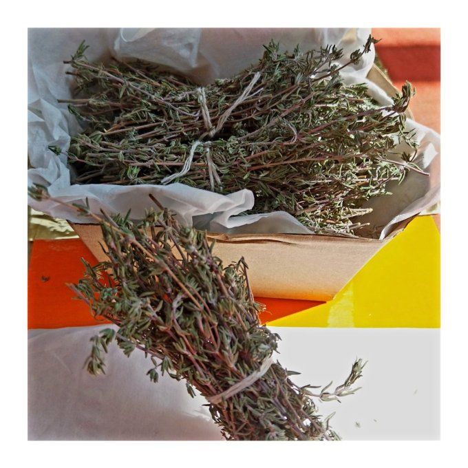Herbes Aromatiques comme le Thym Naturel Epices/Tisane