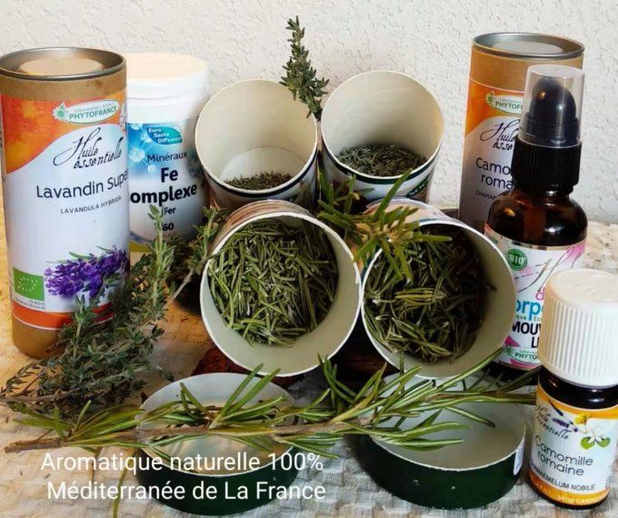 Herbes aromatiques comme le romarin