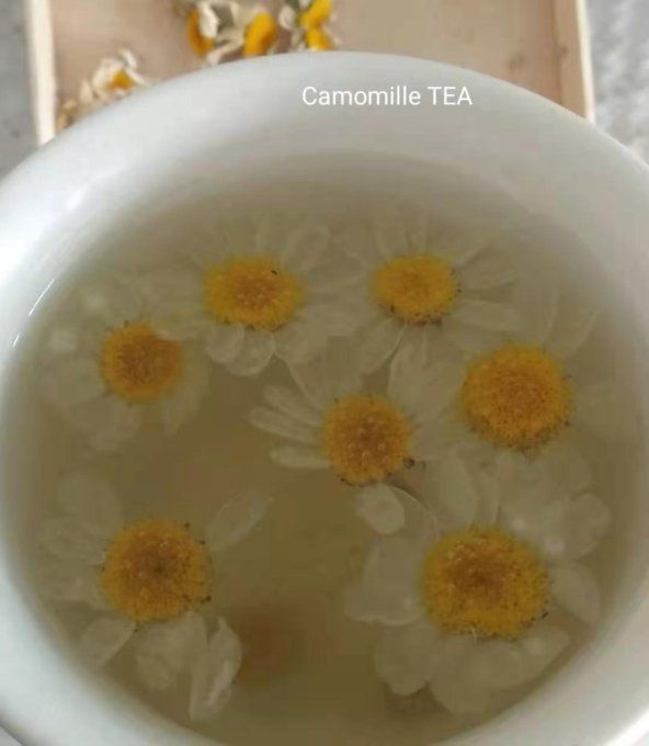 herboristerie de Fleurs de camomille Bio